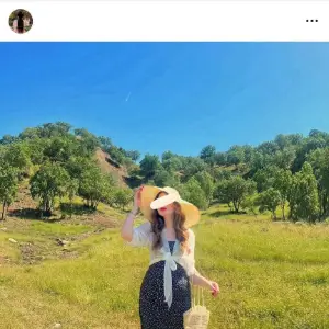 Instagram story Download